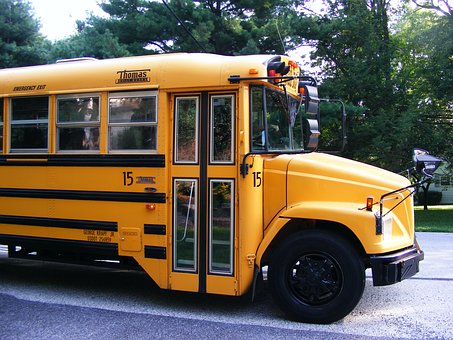 Bus 