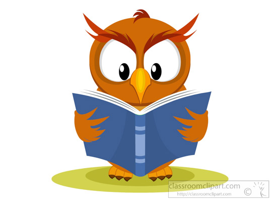Wise Owl
