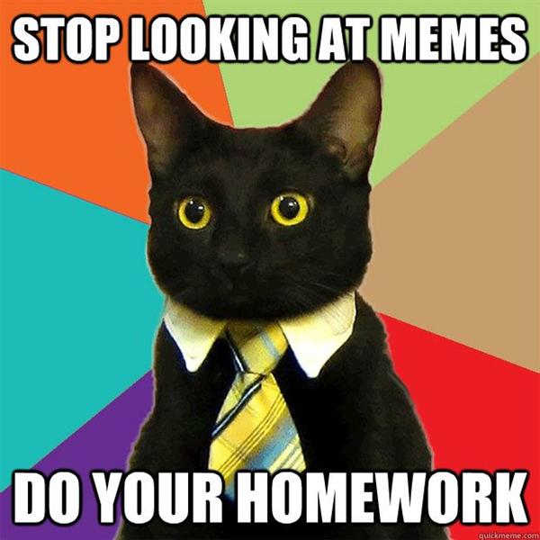 Homework Cat Homework Cat