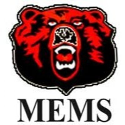 MEMS BEAR 